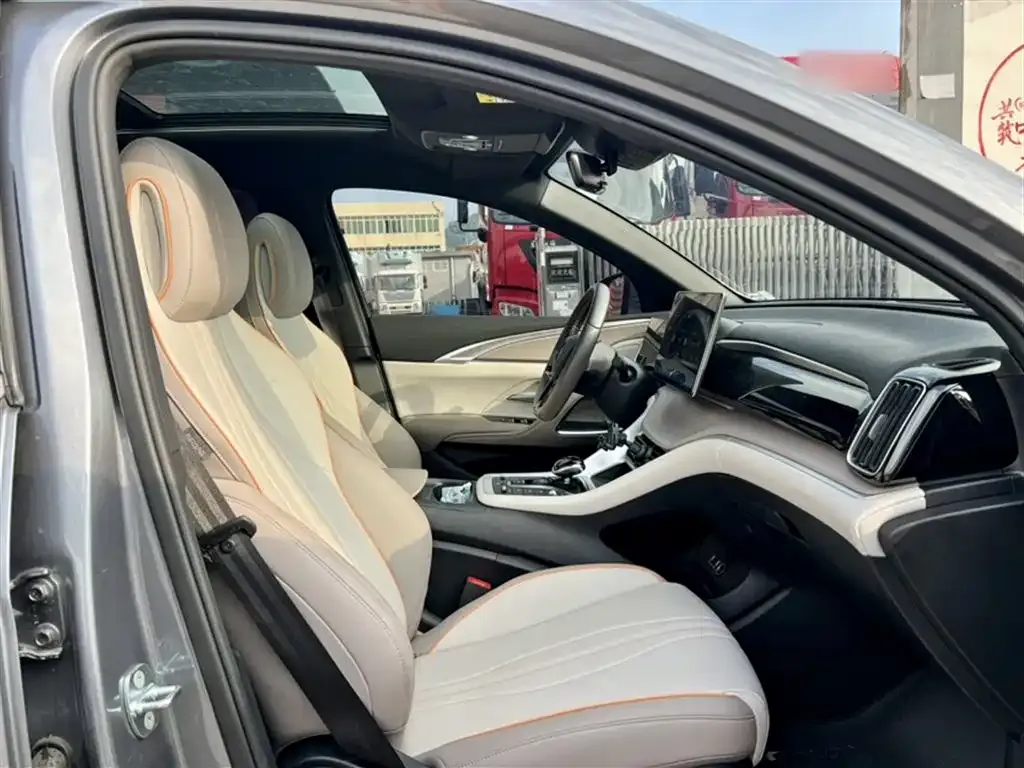 BYD Pro New Energy 2024 из CN, фото 10