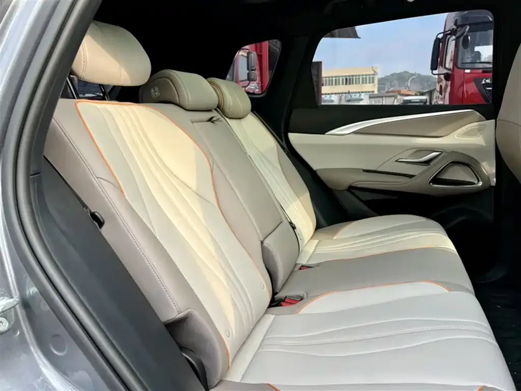 BYD Pro New Energy 2024 из CN, фото 5