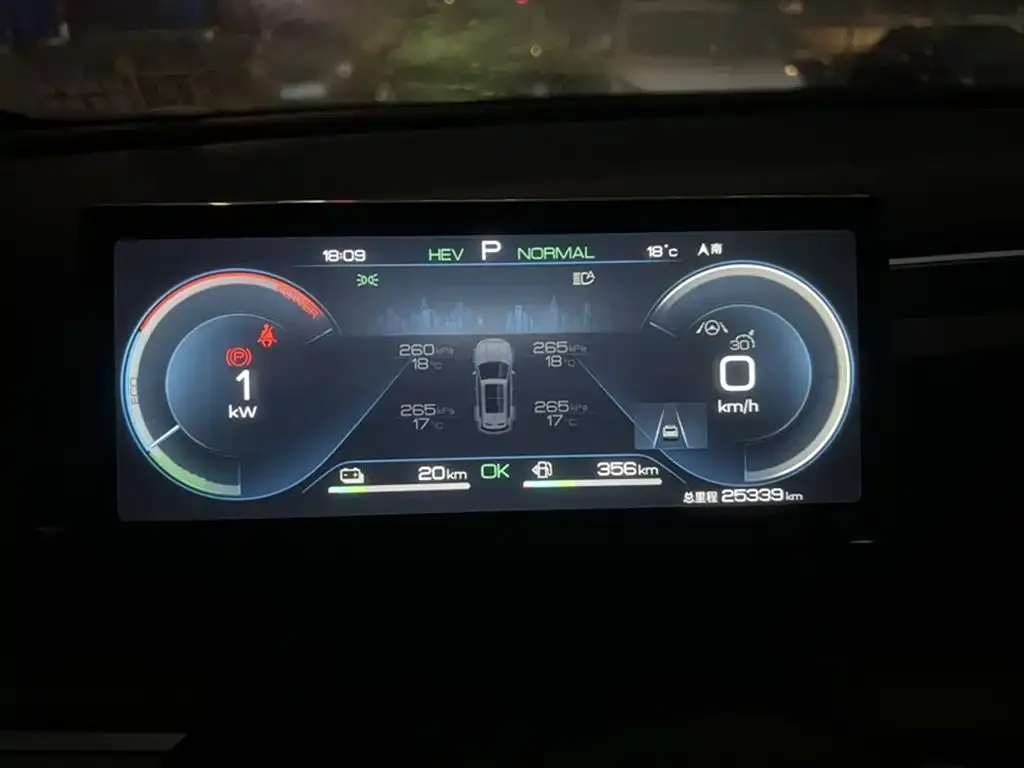 BYD Pro New Energy 2024 из CN, фото 2
