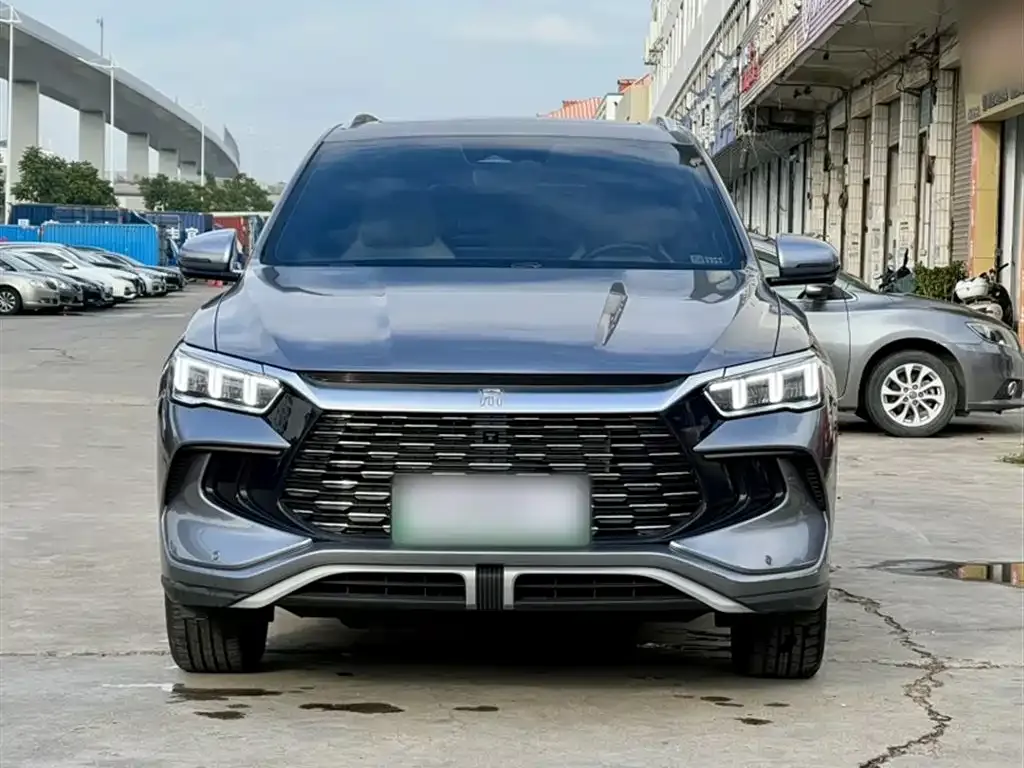 BYD Pro New Energy 2024 из CN, фото 3