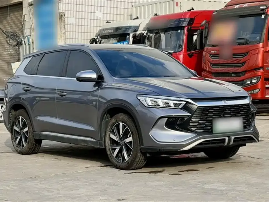 BYD Pro New Energy 2024 из CN, фото 4