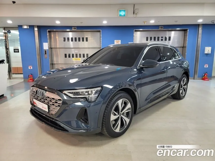 Audi Q8 e-tron 2024 из KR, фото 1