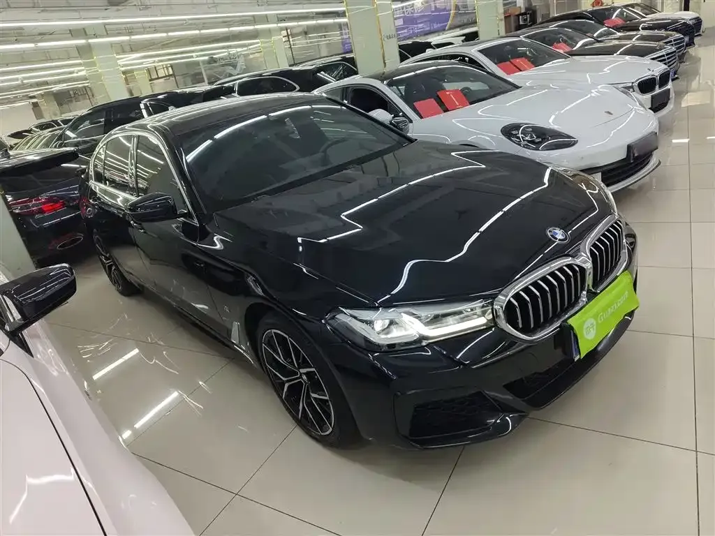 BMW 5 Series 2022 из CN, фото 3