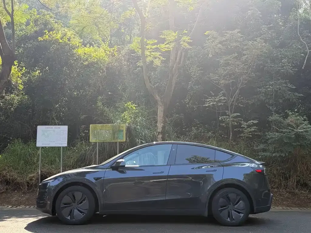 Tesla Model Y 2025 из CN, фото 7