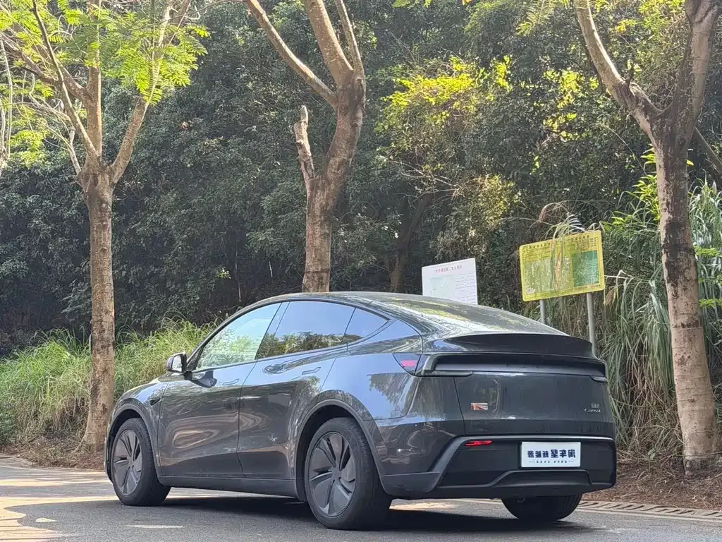 Tesla Model Y 2025 из CN, фото 6