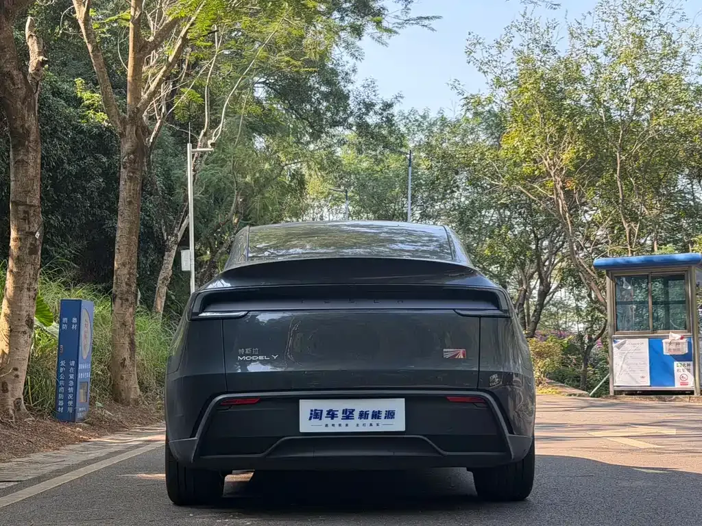 Tesla Model Y 2025 из CN, фото 8