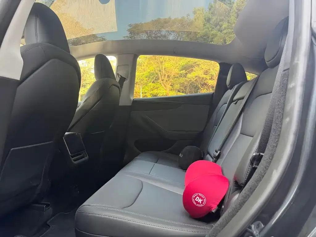 Tesla Model Y 2025 из CN, фото 2