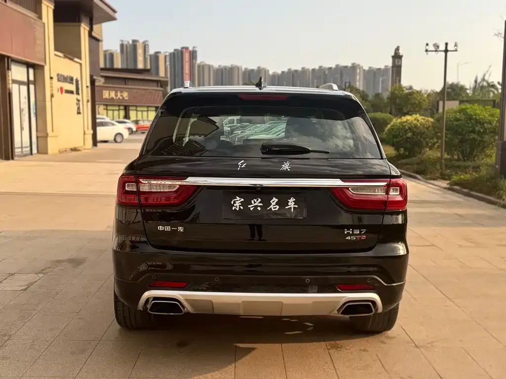 Hongqi HS7 2021 из CN, фото 9