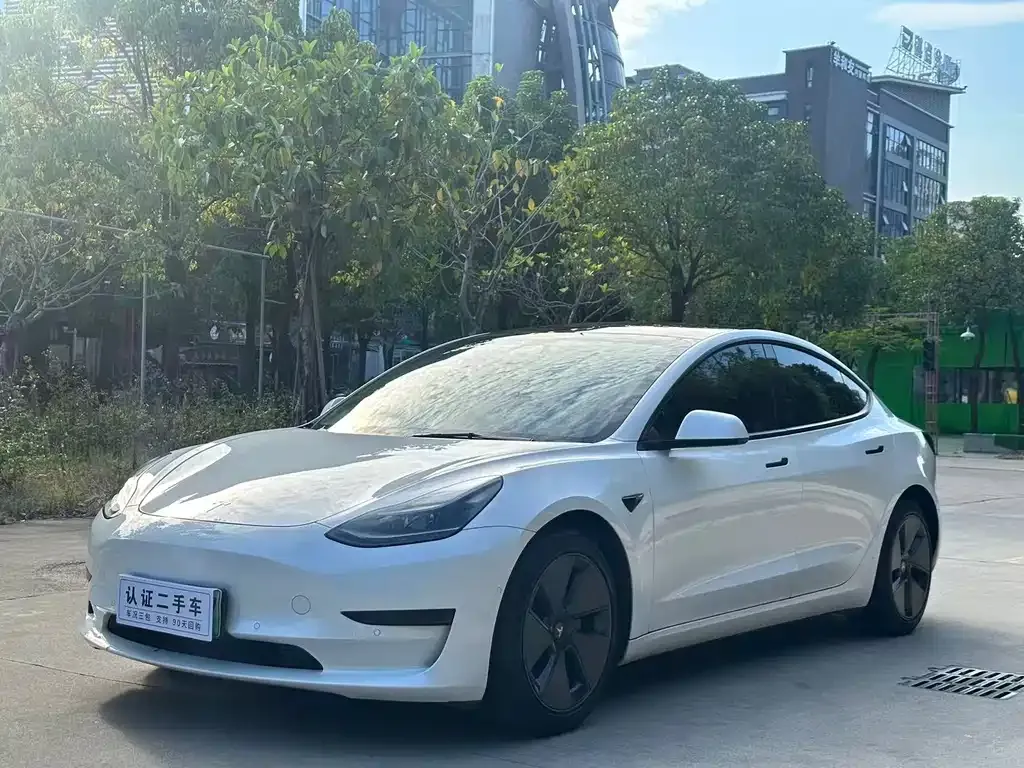 Tesla Model 3 2021 из CN, фото 1