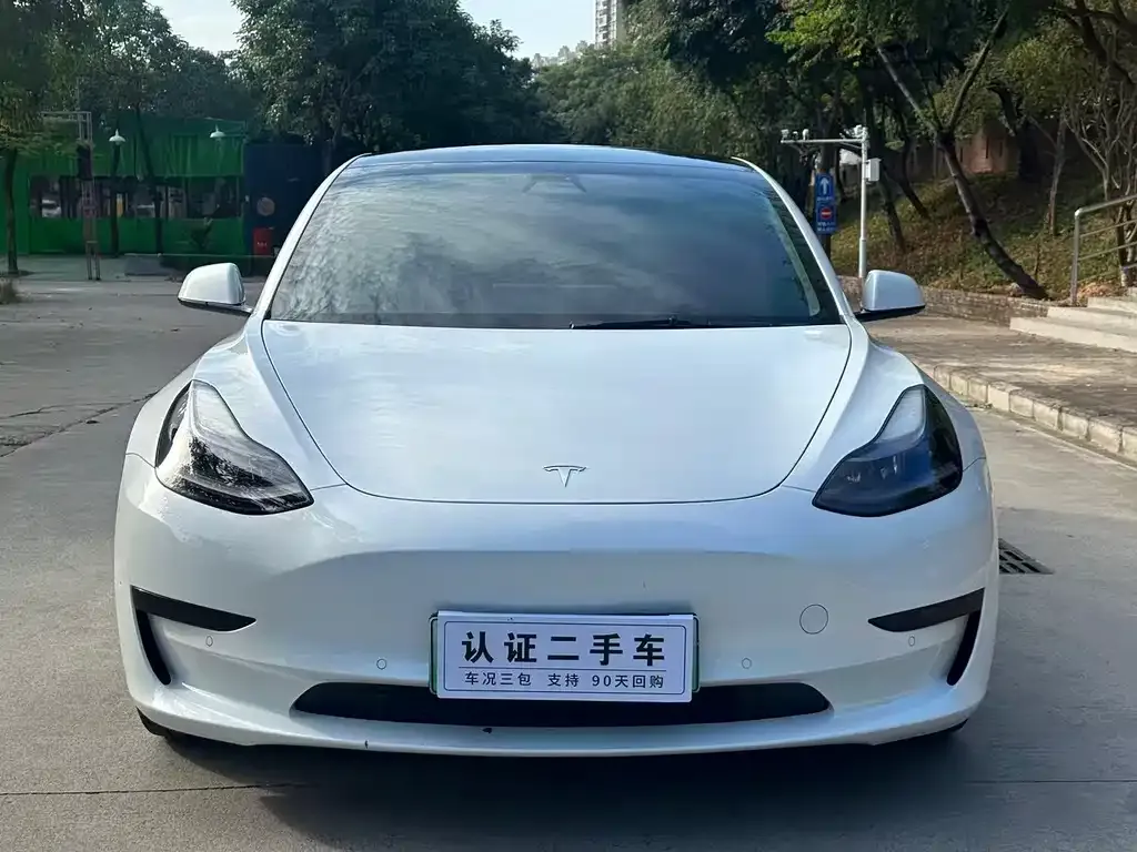 Tesla Model 3 2021 из CN, фото 2