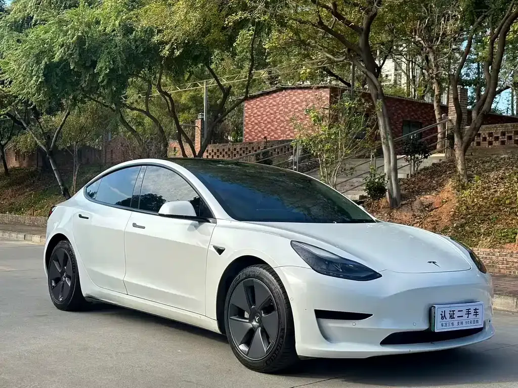 Tesla Model 3 2021 из CN, фото 5