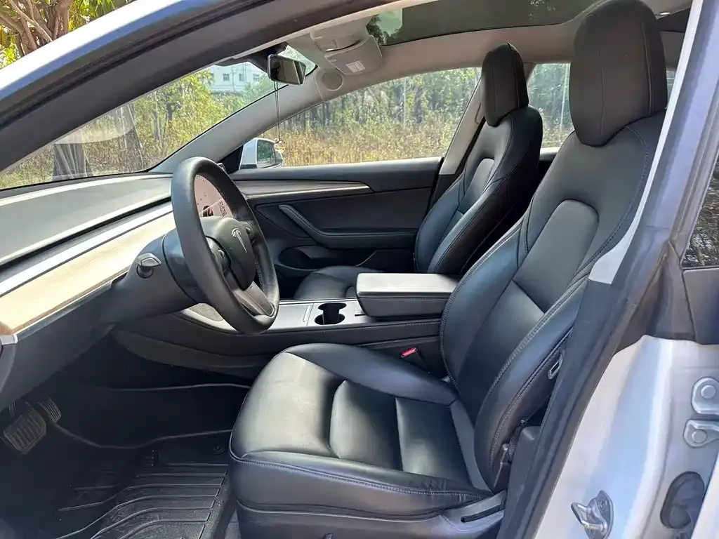 Tesla Model 3 2021 из CN, фото 7