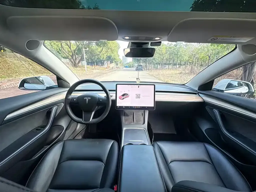 Tesla Model 3 2021 из CN, фото 3