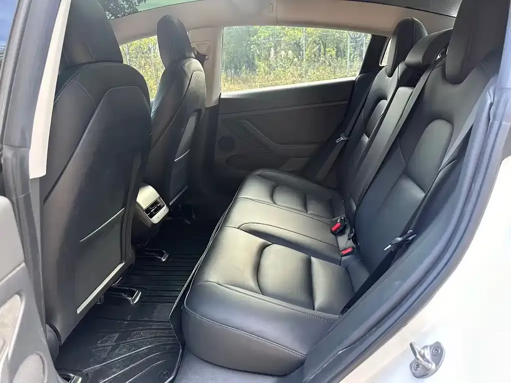 Tesla Model 3 2021 из CN, фото 9