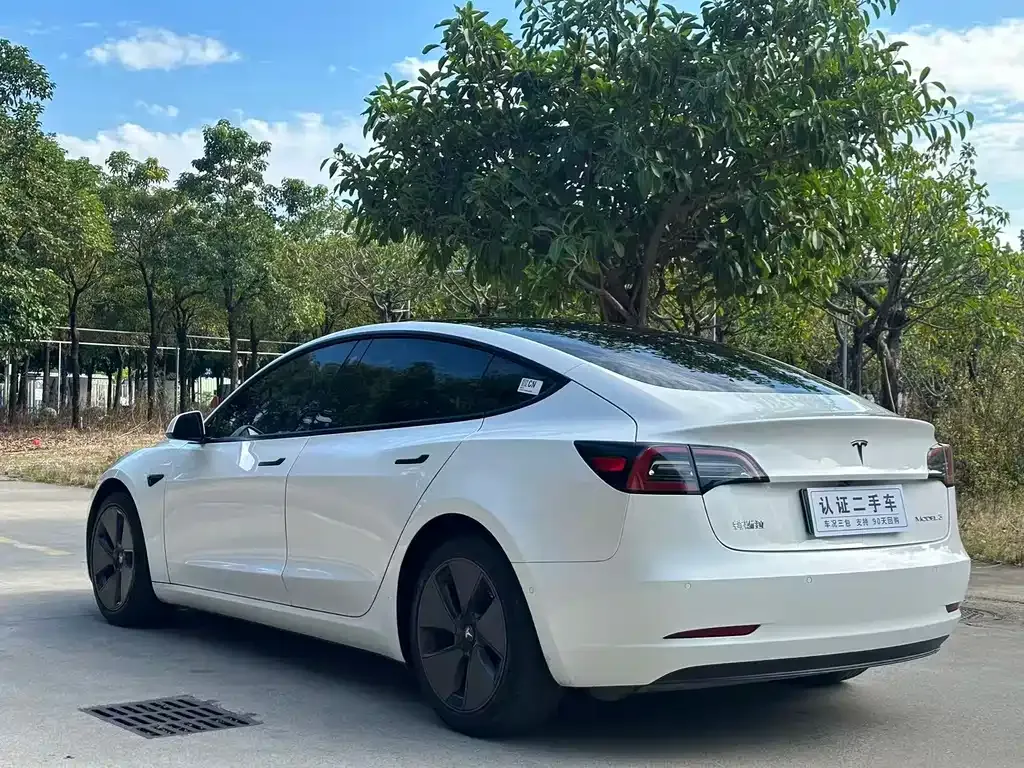 Tesla Model 3 2021 из CN, фото 8