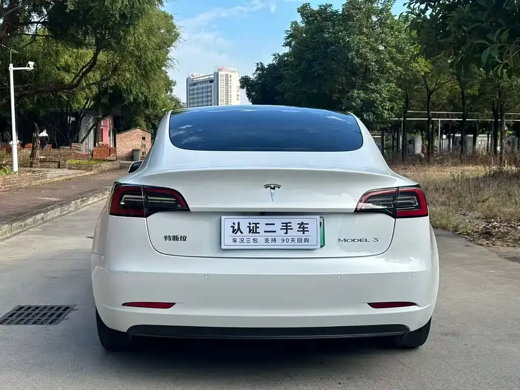 Tesla Model 3 2021 из CN, фото 4