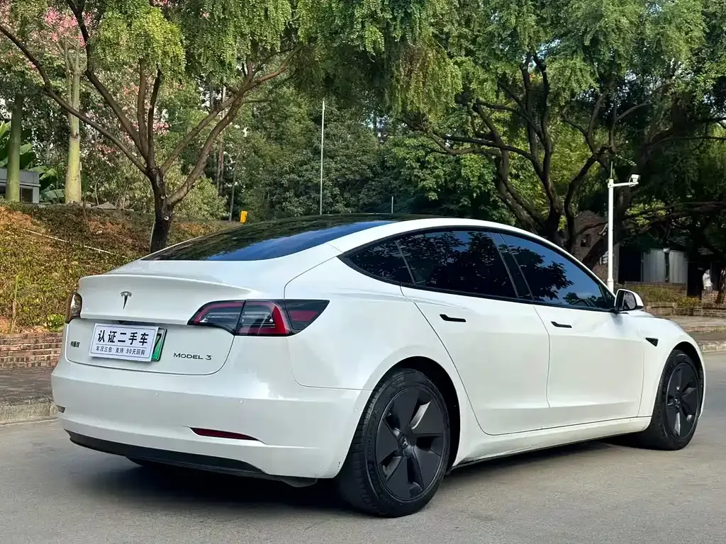 Tesla Model 3 2021 из CN, фото 6