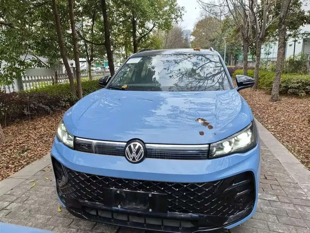 Volkswagen Tiguan L 2024 из CN, фото 6