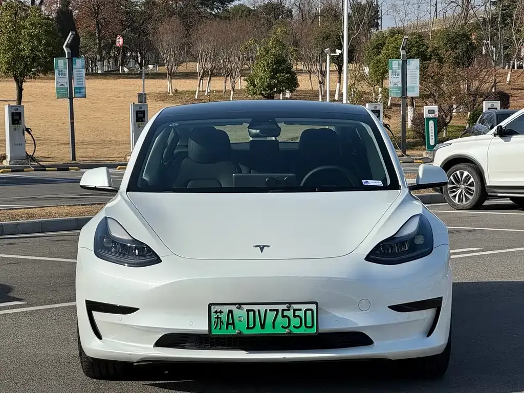 Tesla Model 3 2023 из CN, фото 2