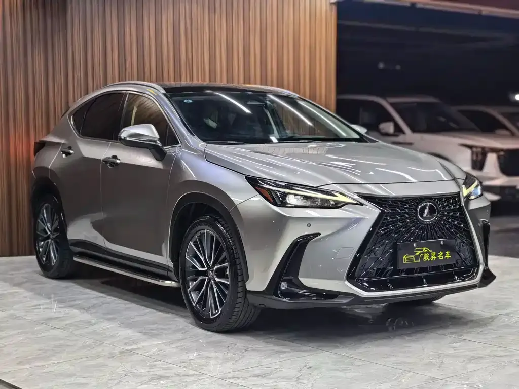Lexus NX 2022 из CN, фото 5
