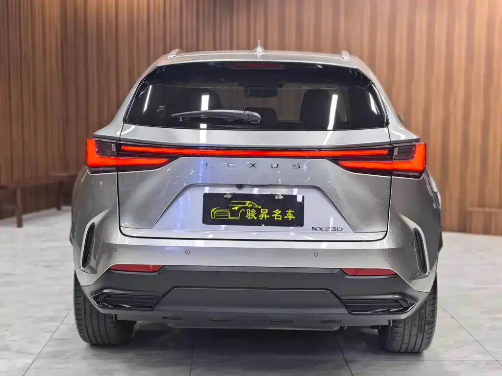 Lexus NX 2022 из CN, фото 3
