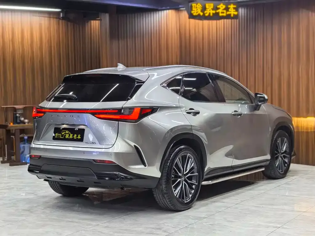 Lexus NX 2022 из CN, фото 4