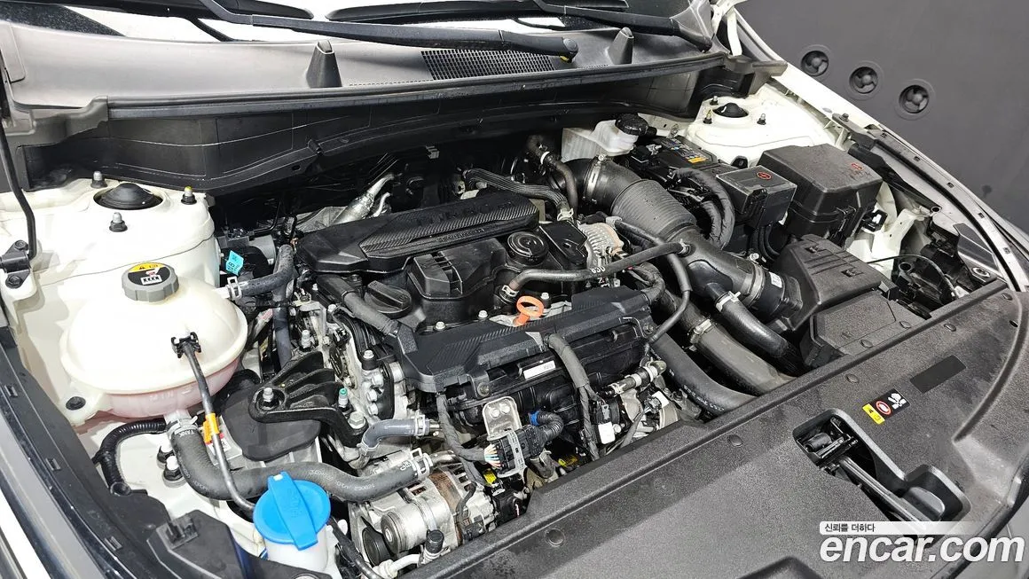Kia Sportage — фото 6