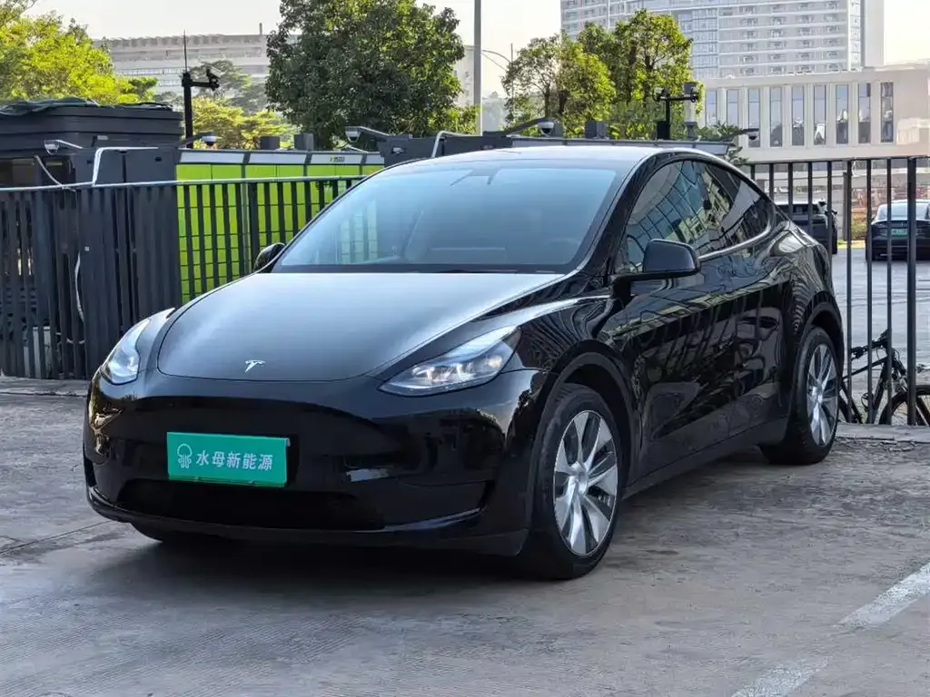 Tesla Model Y 2022 из CN, фото 1