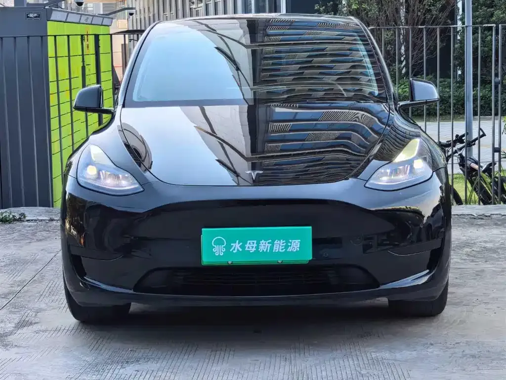 Tesla Model Y 2022 из CN, фото 2