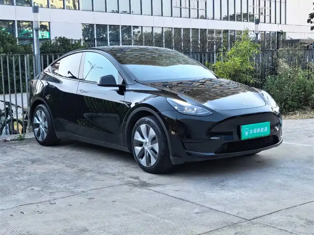 Tesla Model Y 2022 из CN, фото 3