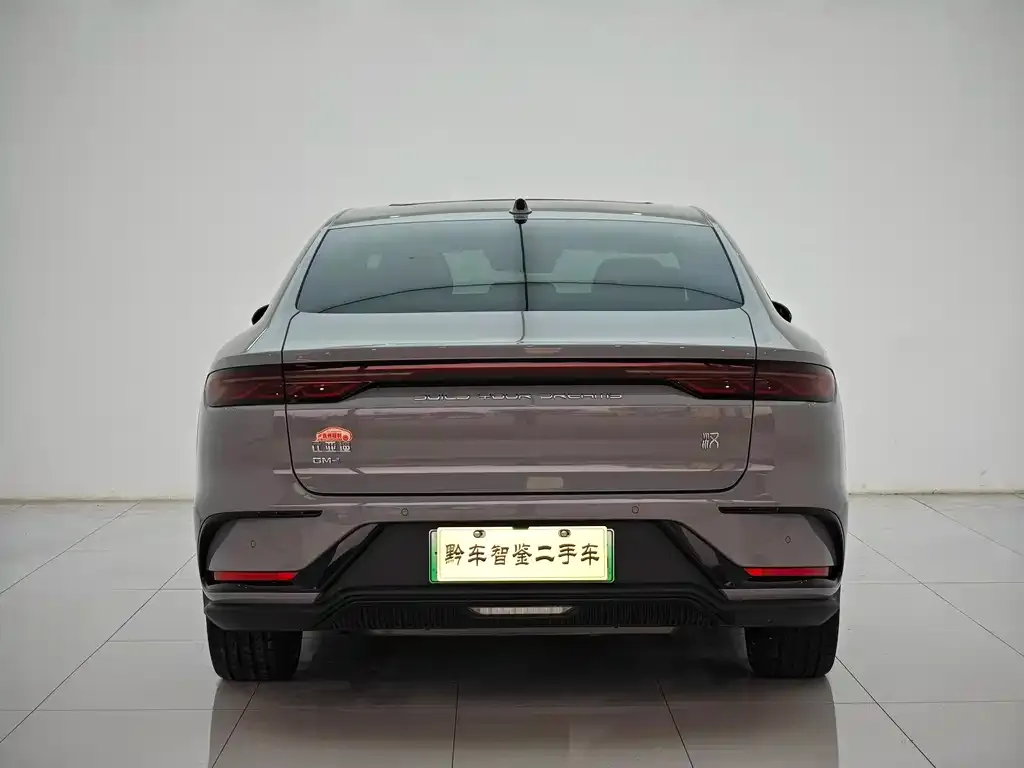 BYD Han 2024 из CN, фото 2