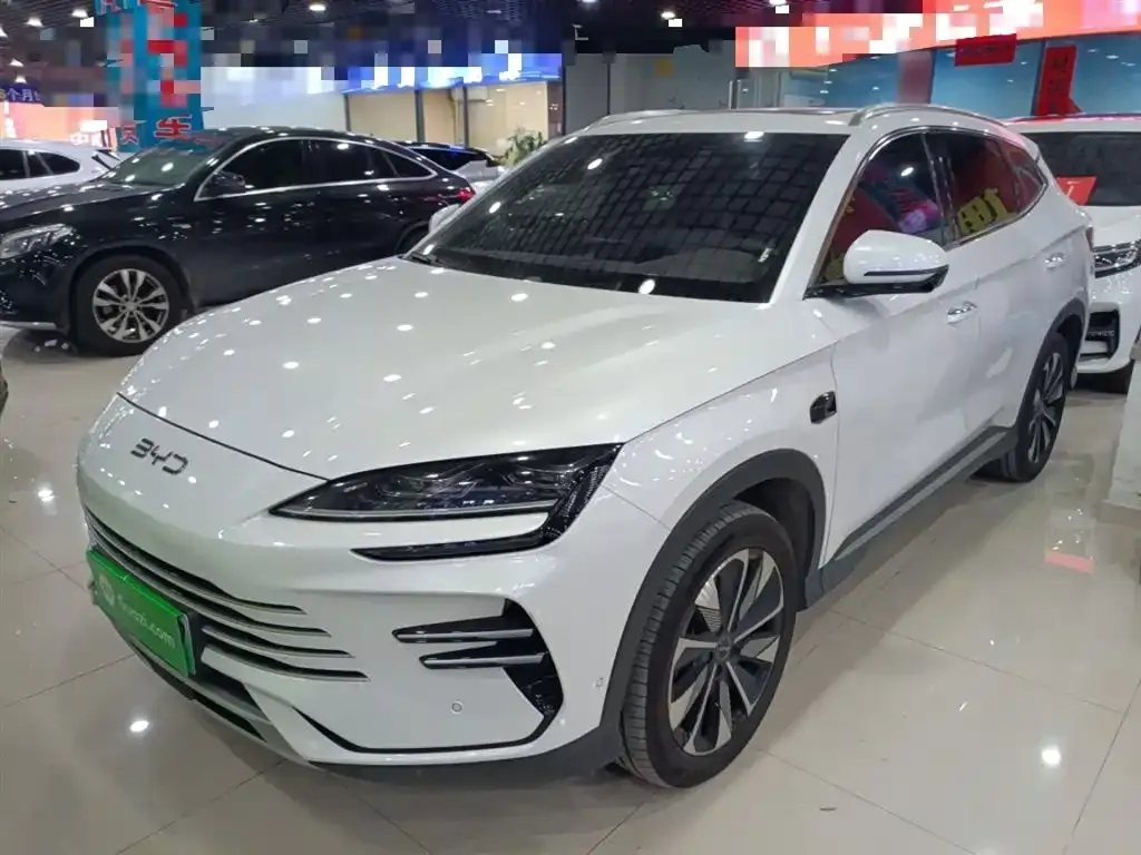 BYD PLUS New Energy — фото 1