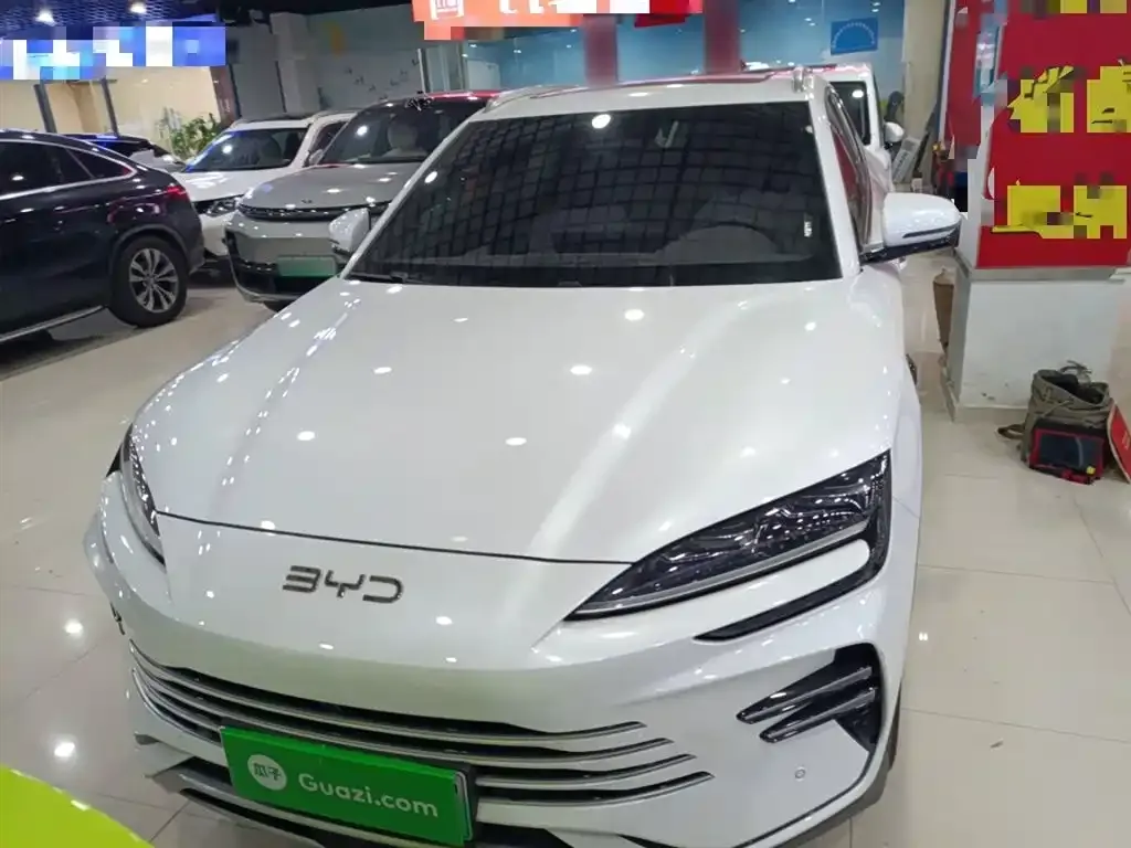 BYD PLUS New Energy — фото 3