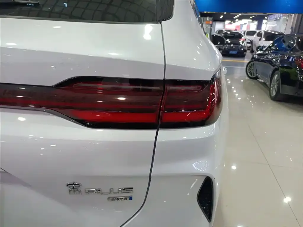 BYD PLUS New Energy — фото 8