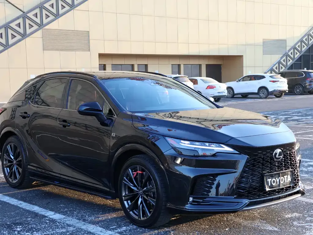Lexus RX 2023 из CN, фото 9