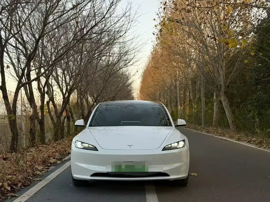 Tesla Model 3 2024 из CN, фото 2