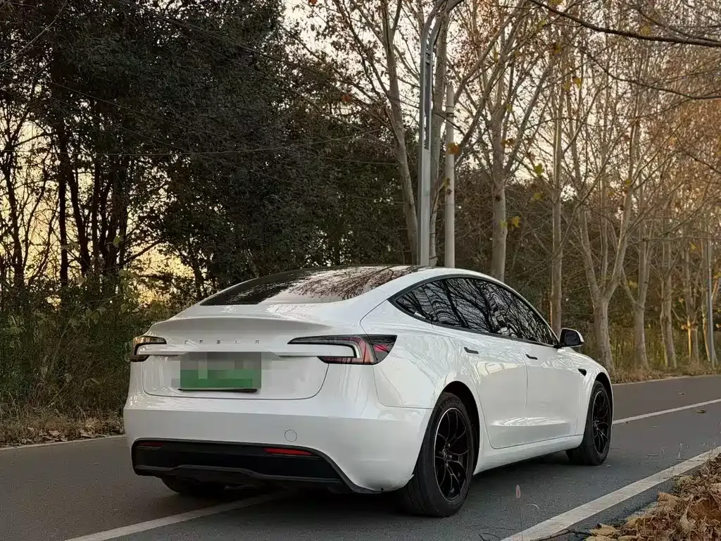 Tesla Model 3 2024 из CN, фото 4