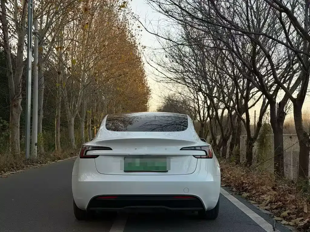 Tesla Model 3 2024 из CN, фото 5