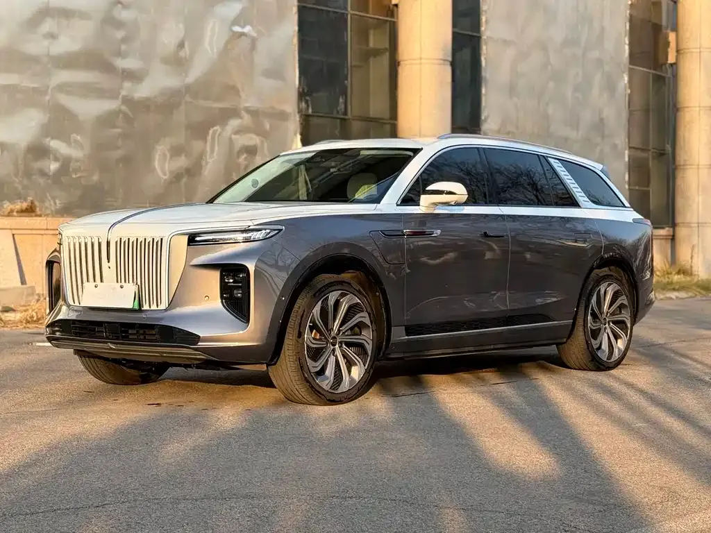 Hongqi E-HS9 2021 из CN, фото 1