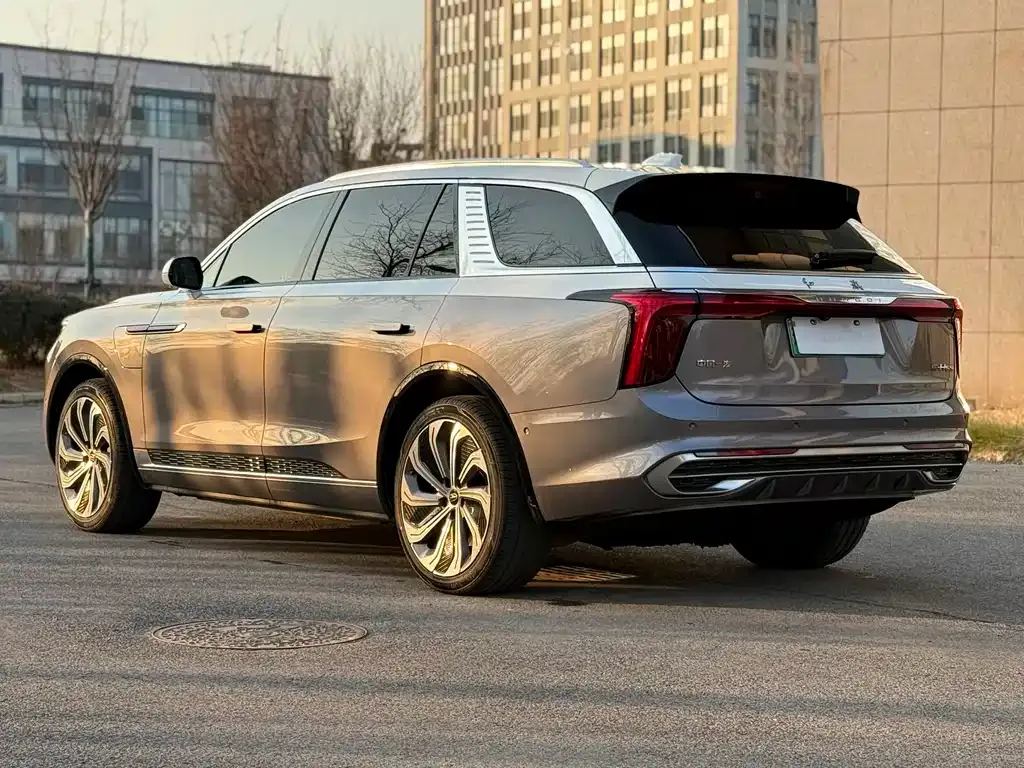 Hongqi E-HS9 2021 из CN, фото 6