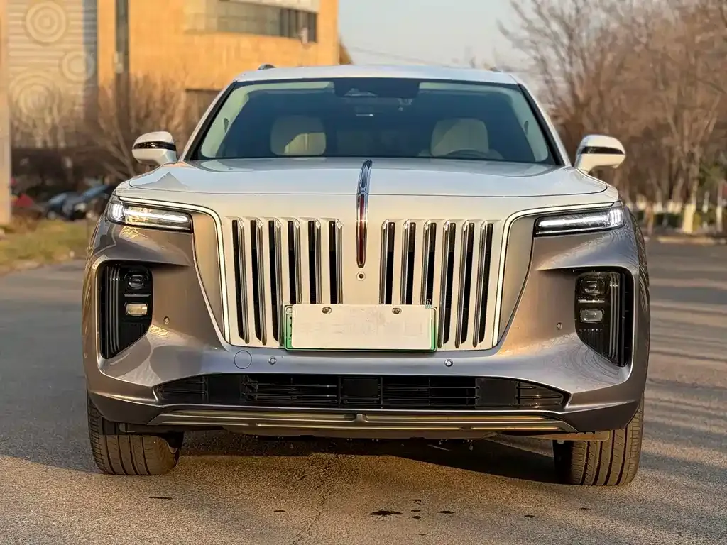 Hongqi E-HS9 2021 из CN, фото 3