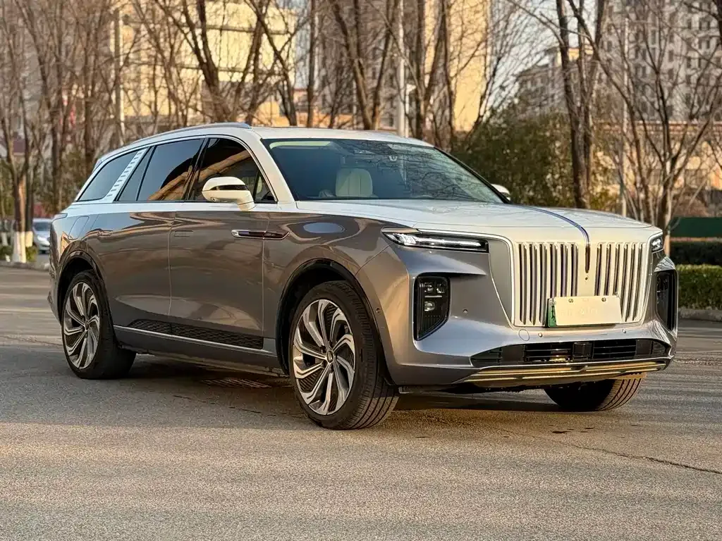 Hongqi E-HS9 2021 из CN, фото 10
