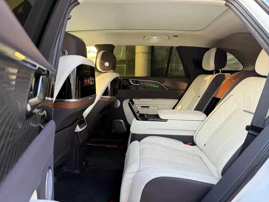 Hongqi E-HS9 2021 из CN, фото 2