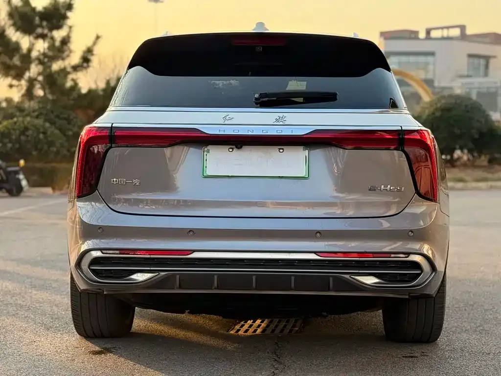 Hongqi E-HS9 2021 из CN, фото 7