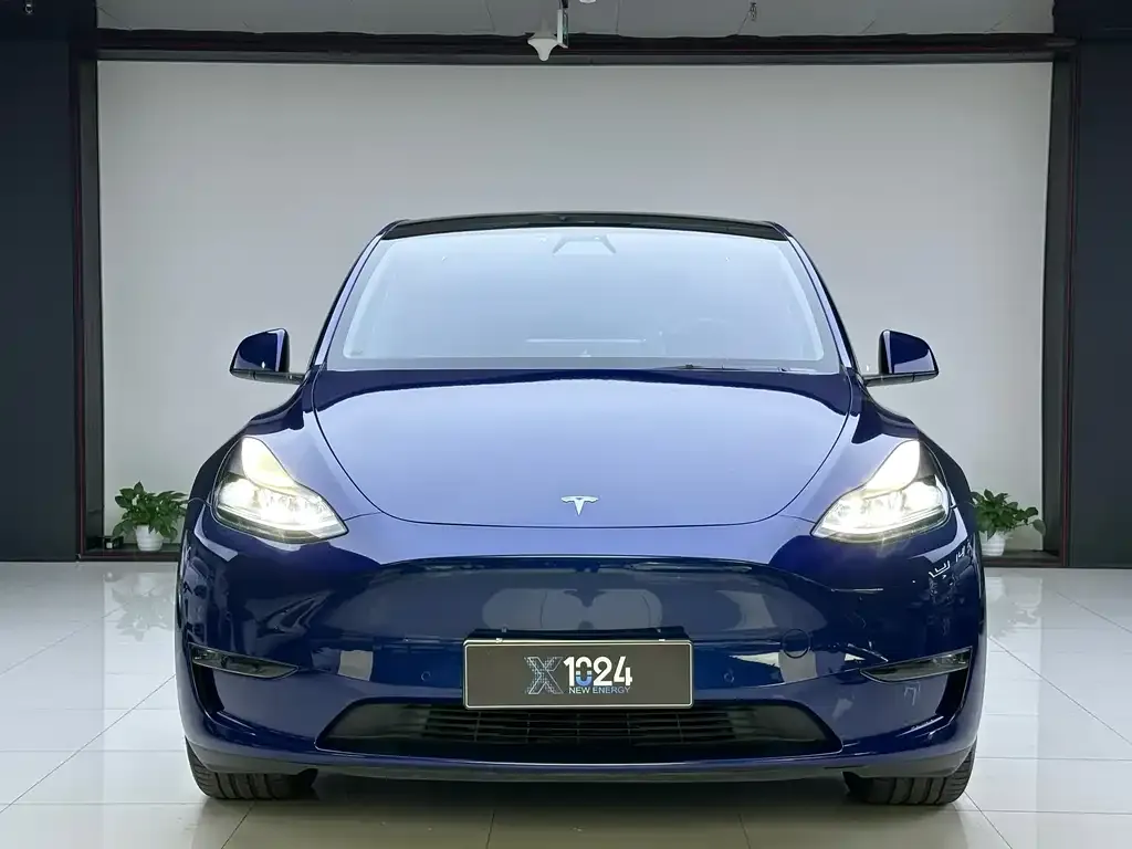 Tesla Model Y 2022 из CN, фото 2