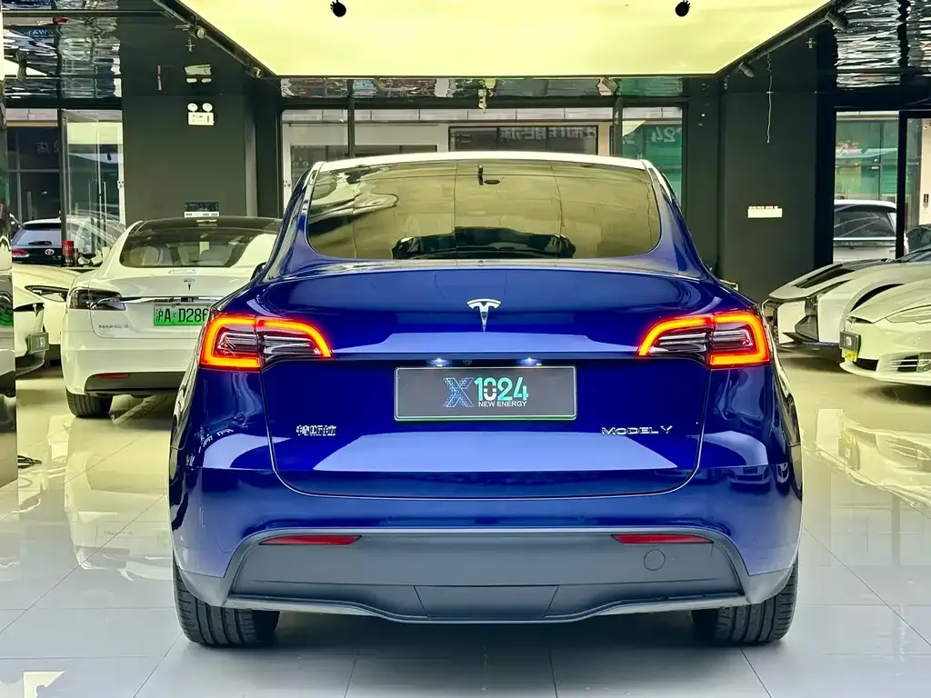 Tesla Model Y 2022 из CN, фото 6