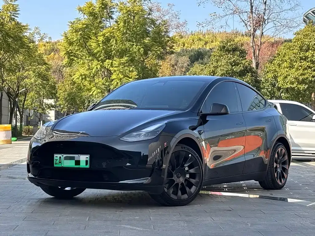 Tesla Model Y 2023 из CN, фото 1