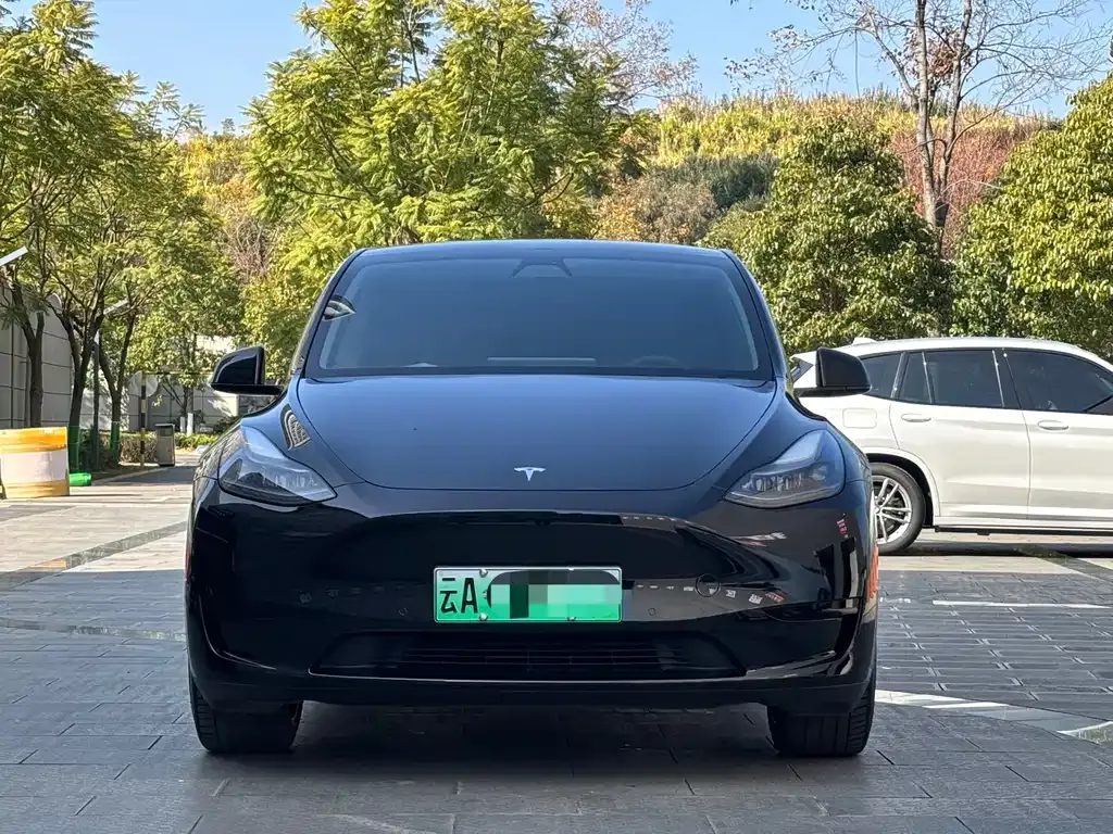 Tesla Model Y 2023 из CN, фото 8
