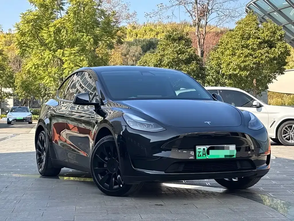 Tesla Model Y 2023 из CN, фото 10