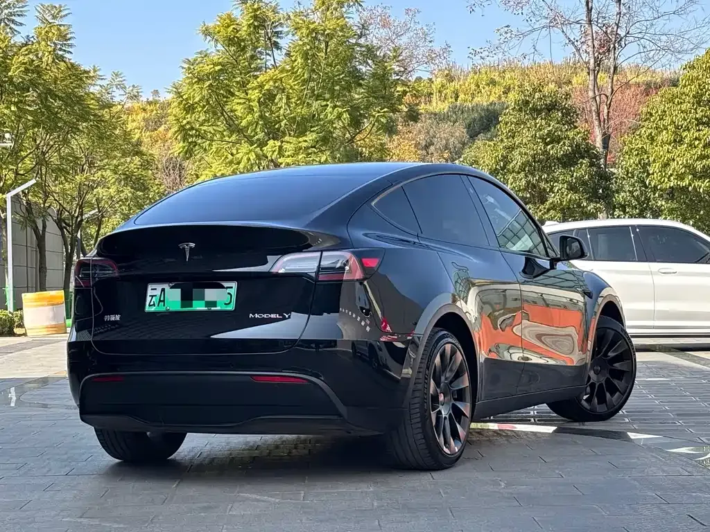 Tesla Model Y 2023 из CN, фото 3